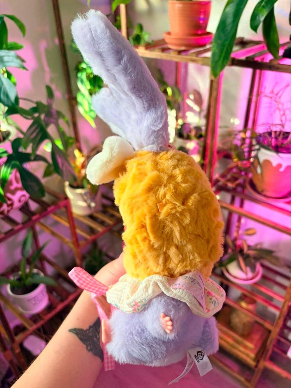 💜🐰 Authentic Baby Three – Lily Rabbit Town V2 plush collectible - Picture 3 of 13